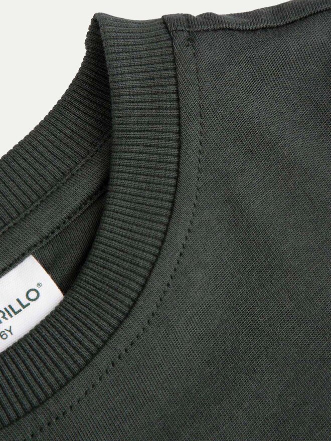 Coccodrillo Coccodrillo Marškinėliai ZC4143201LBD Žalia Regular Fit