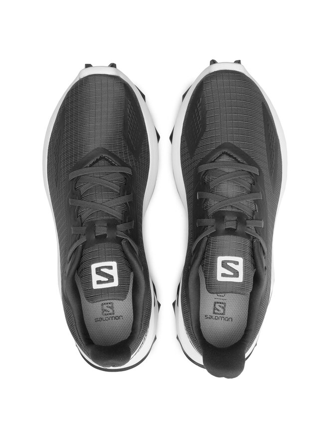 Salomon Взуття для бігу Salomon Alphacross Blast W 411038 21 V0 Сірий