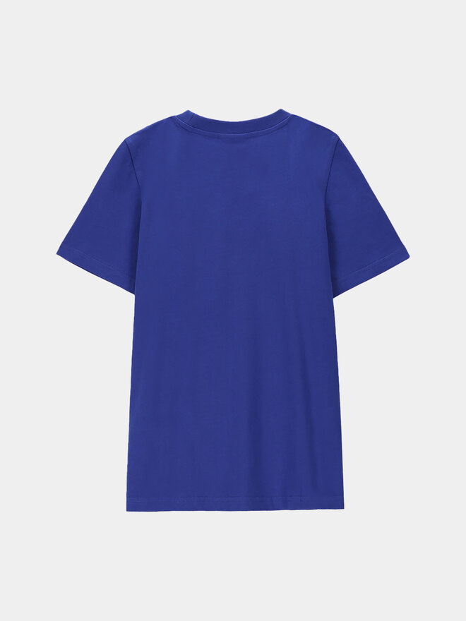 Coccodrillo Coccodrillo Футболка WC4143219VBA Голубий Regular Fit
