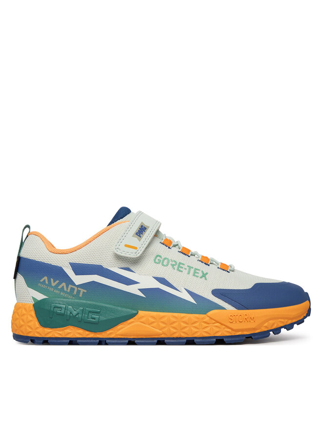 Primigi Sneakers Primigi AVANT Gtx 1431033 D Grau