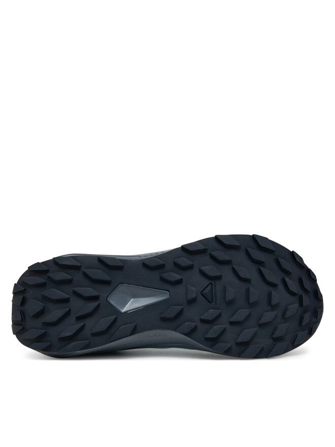 Salomon Buty do biegania Salomon Alphaglide Gore-Tex L47802500 Szary