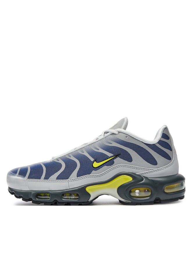 Sneakers Nike Air Max Plus FZ4622 001 Grau eschuhe