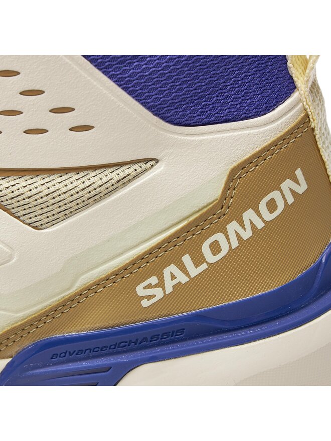 Salomon Παπούτσια πεζοπορίας Salomon X Ultra 360 Edge Mid Gore-Tex L47378100 Καφέ