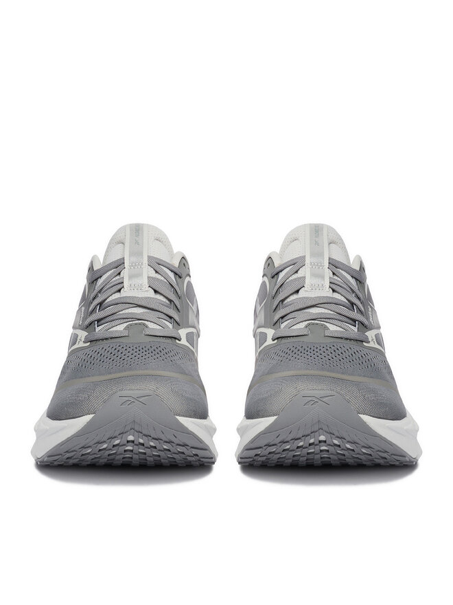 Reebok Laufschuhe Reebok EO-FLOATZIG 2 100263821 Grau