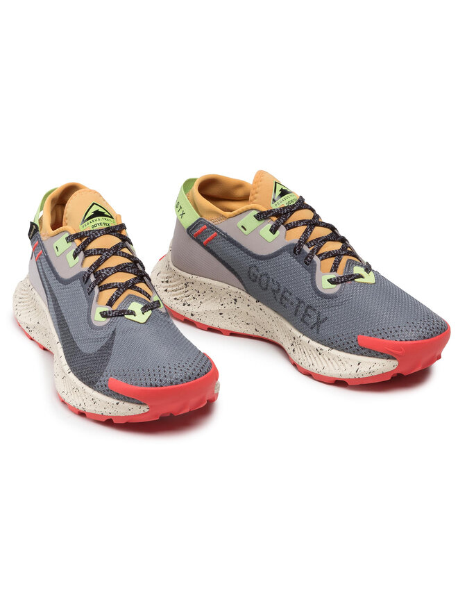 Nike Pantofi pentru alergare Nike Pegasus Trail 2 Gtx GORE-TEX CU2016 002 Gri