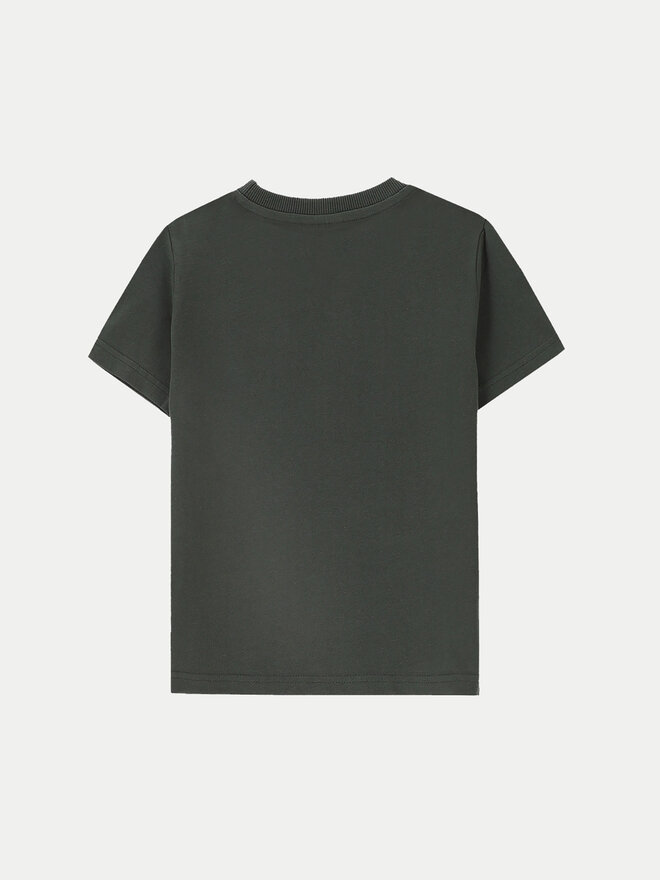 Coccodrillo Coccodrillo Marškinėliai ZC4143201LBD Žalia Regular Fit