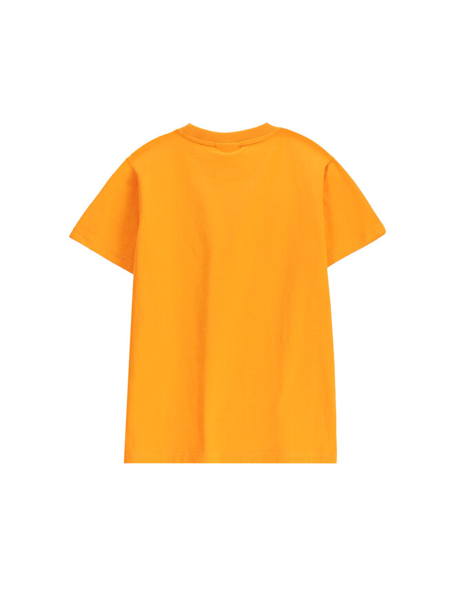 Coccodrillo Coccodrillo T-Shirt WC5143203GBJ Πορτοκαλί Regular Fit