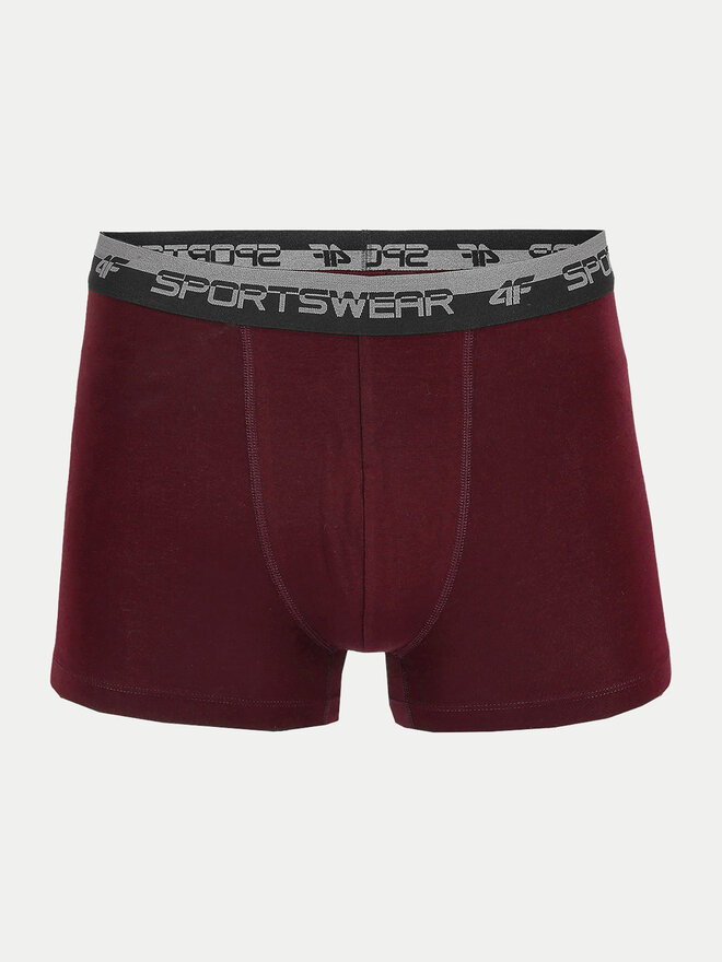 4F 4F 2er-Set Boxershorts 4FWSS24UBXSM036 Bunt