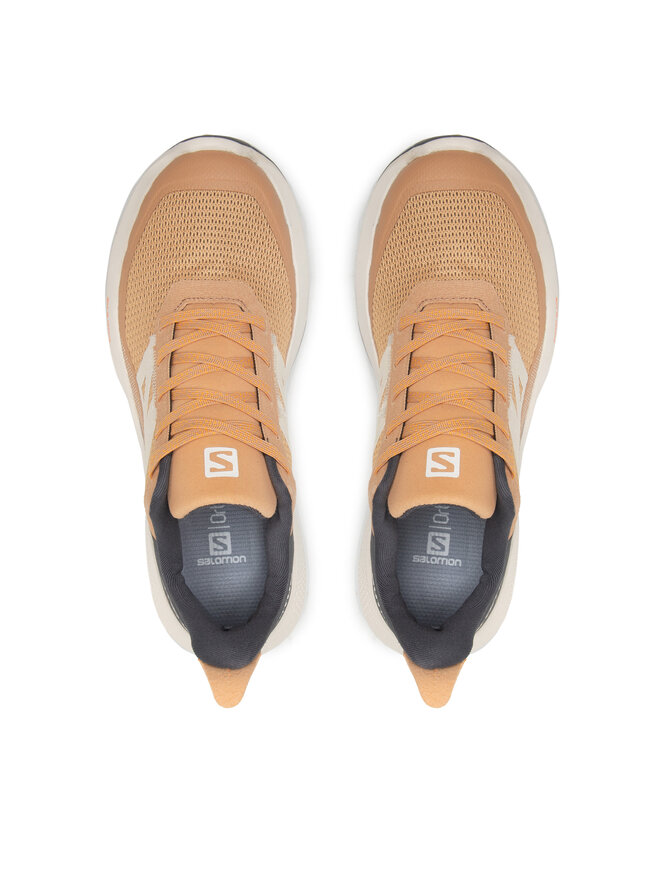 Salomon Trekingová obuv Salomon Outpulse W 416887 20 V0 Hnědá