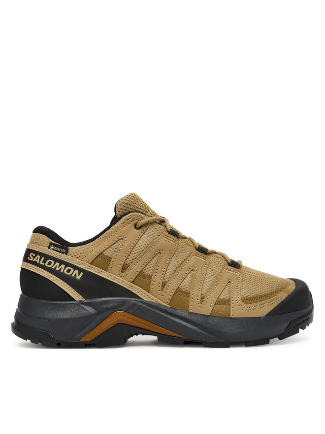 Salomon Παπούτσια πεζοπορίας Salomon X-Adventure Recon Gore-Tex L47813100 Καφέ