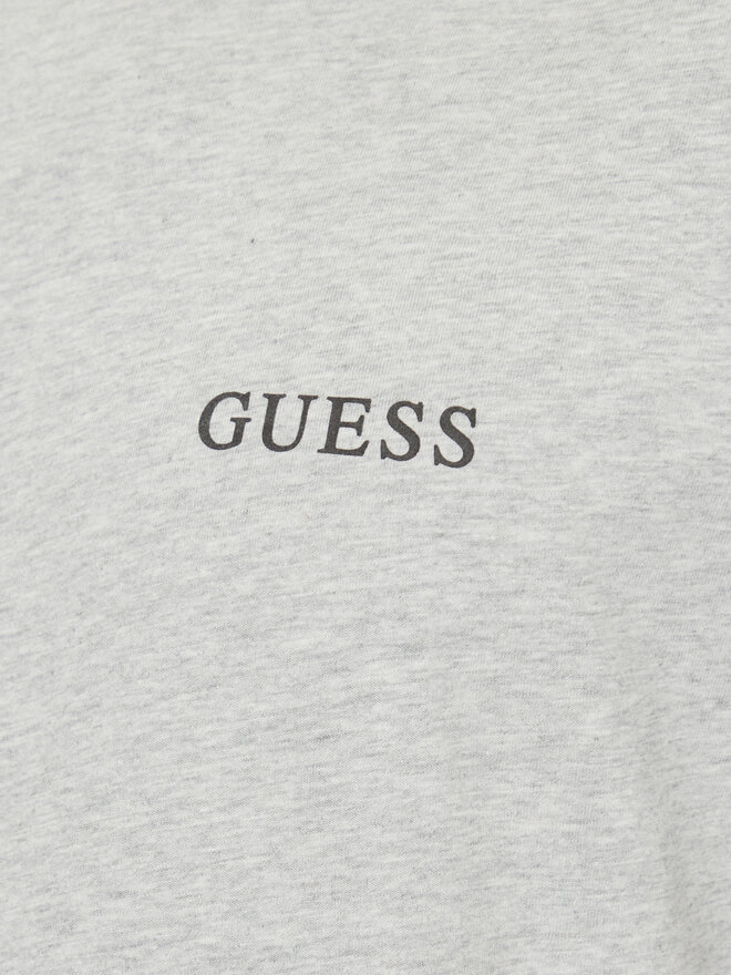 Guess Guess Marškinėliai U4BM03 KCAM1 Pilka Regular Fit