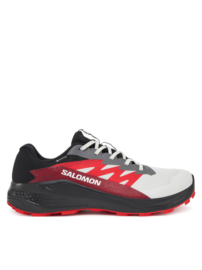 Salomon Běžecké boty Salomon Alphaglide Gore-Tex L47802200 Šedá