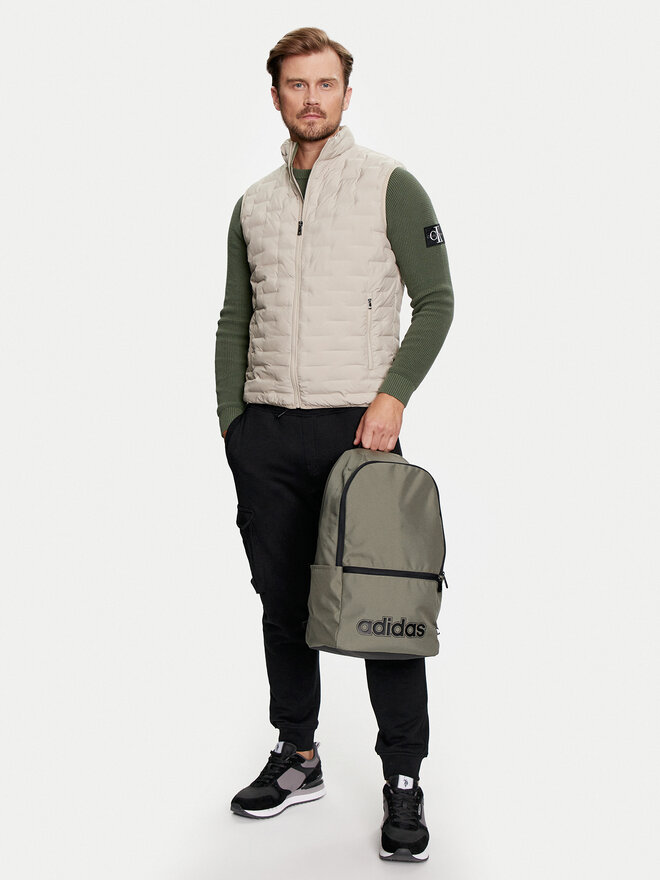 adidas Rucksack adidas Lin Clas Bp Day HR5341 Grün