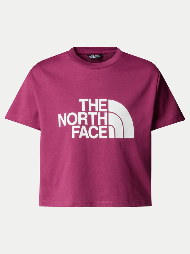 The North Face The North Face Marškinėliai Easy NF0A8DRQ Rožinė Relaxed Fit