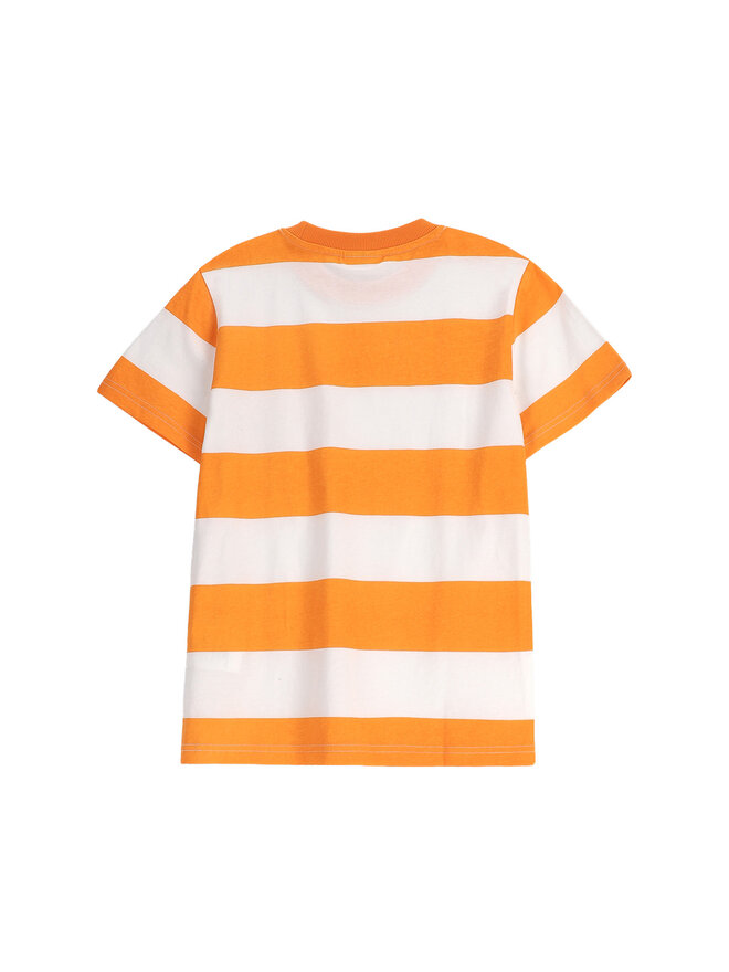Coccodrillo Coccodrillo Marškinėliai WC5143209VBC Oranžinė Regular Fit