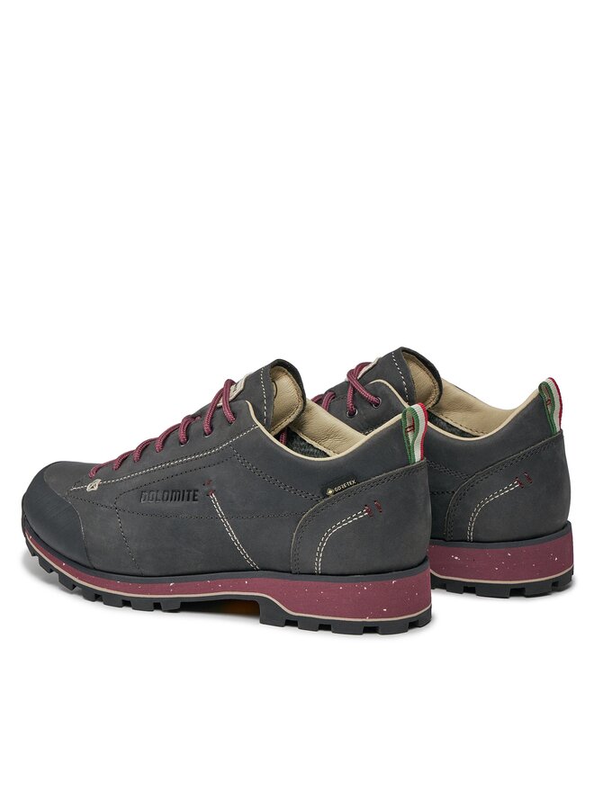 Dolomite Трекінгові черевики Dolomite W'S 54 Low Fg Evo Gtx GORE-TEX 292534 Сірий