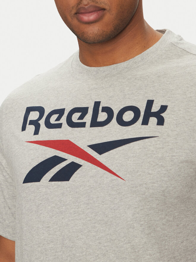 Reebok Reebok Marškinėliai 100217137 Pilka Regular Fit