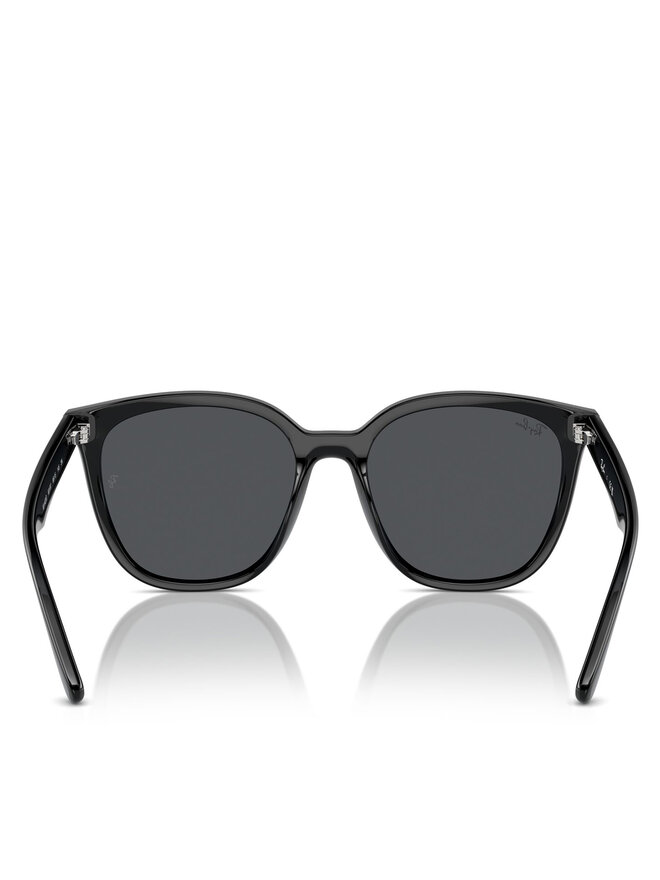 Ray-Ban Sonnenbrillen Ray-Ban 0RB4423D 601/87 Schwarz