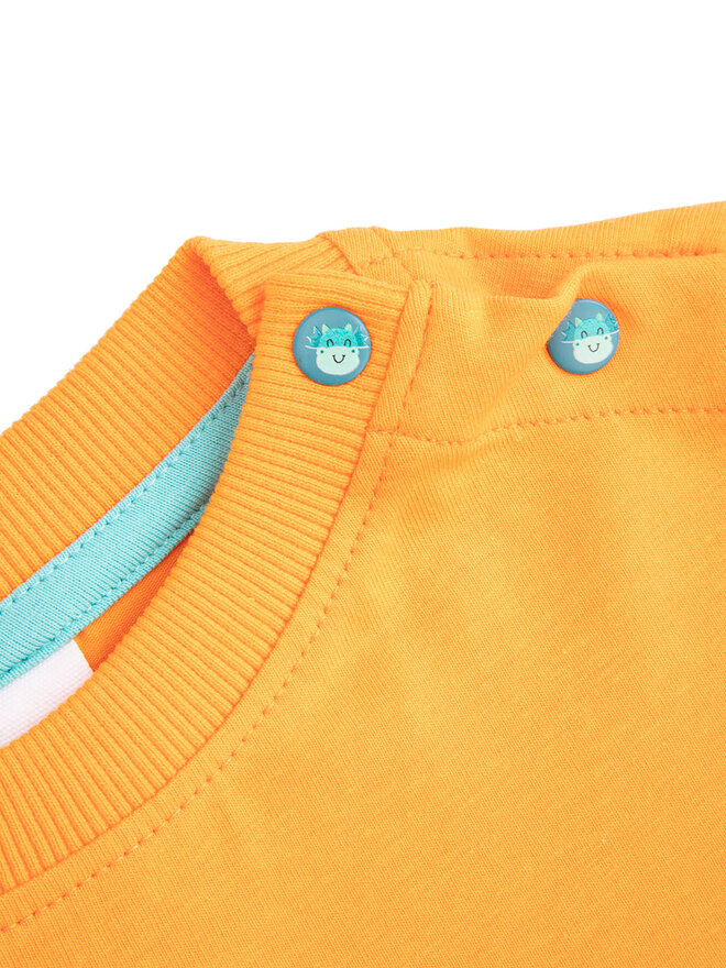 Coccodrillo Coccodrillo Camiseta WC5143202DBN Naranja Regular Fit