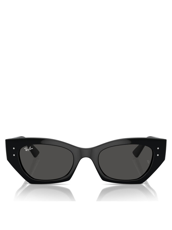 Ray-Ban Γυαλιά ηλίου Ray-Ban 0RB4430 667787 Μαύρο