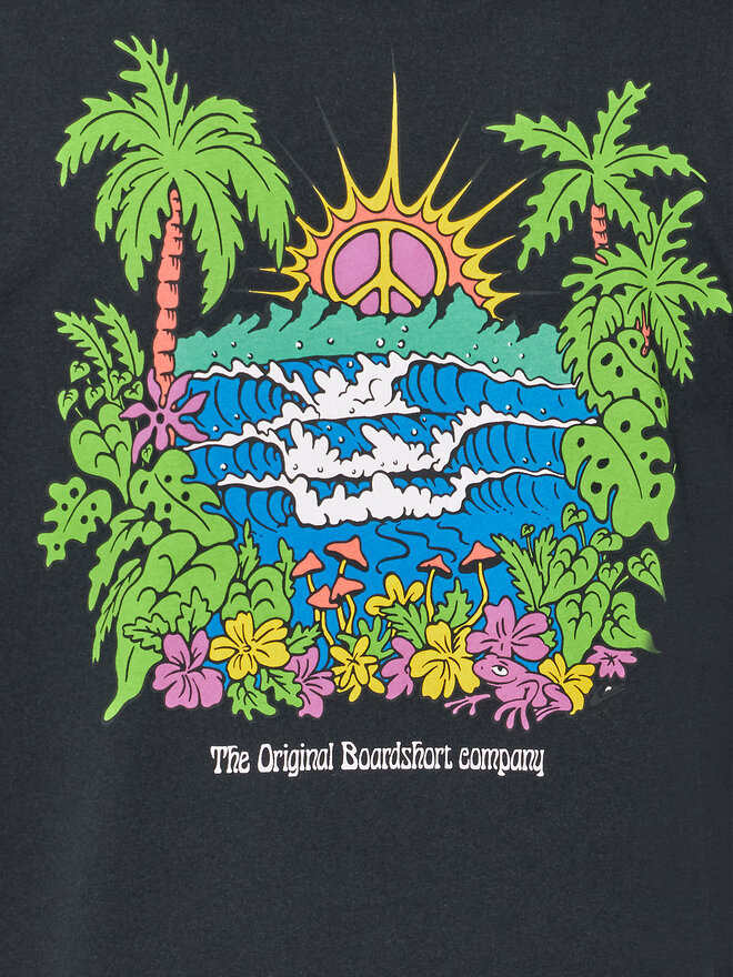 Quiksilver Quiksilver T-Shirt Island Sunrise Moe AQYZT09543 Schwarz Regular Fit