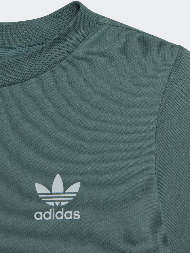 adidas adidas Marškinėliai adicolor IC9105 Žalia Regular Fit