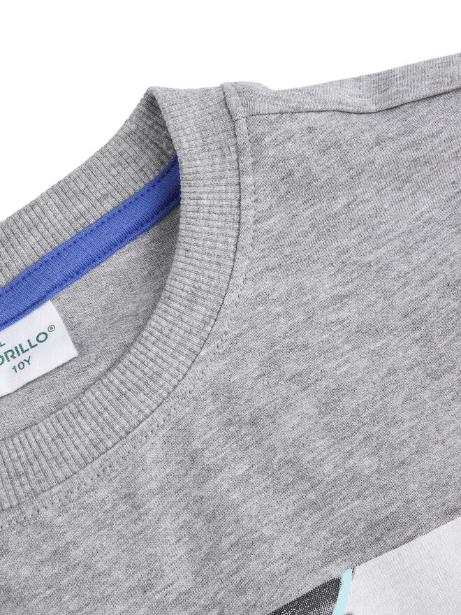 Coccodrillo Coccodrillo Camiseta WC5143206IBJ Gris Regular Fit