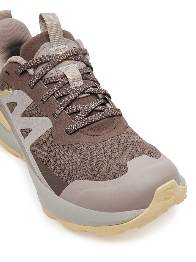 Salomon Trekingová obuv Salomon Elixir Activ Gore-Tex L47760100 Hnědá