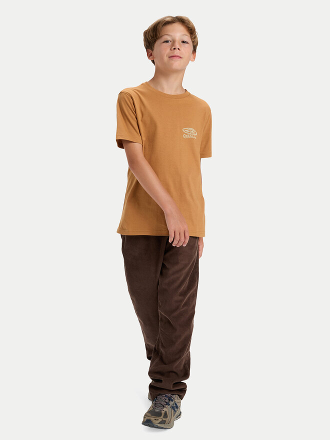 Quiksilver Quiksilver T-Shirt Hw Snaky Ways EQBZT04912 Braun Regular Fit