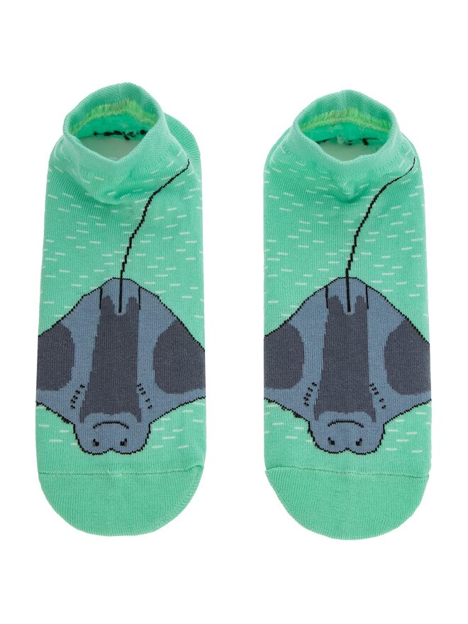 Cup of Sox Короткі шкарпетки Cup of Sox Grey Round Seafllor Hound Зелений