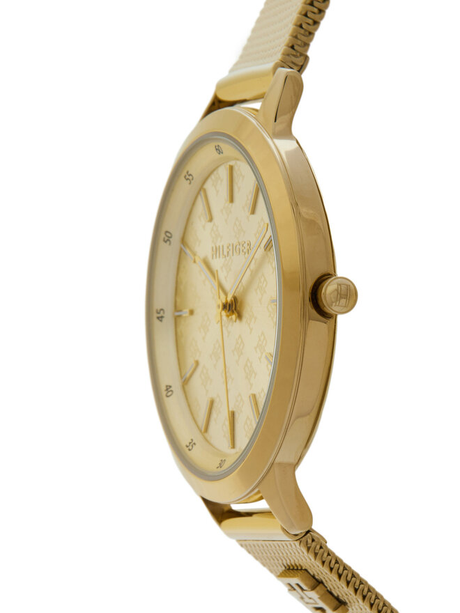Tommy Hilfiger Ceas Tommy Hilfiger 1782588 Auriu
