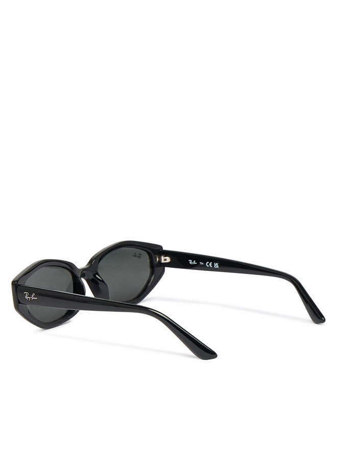 Ray-Ban Sonnenbrillen Ray-Ban 0RB4473D Schwarz
