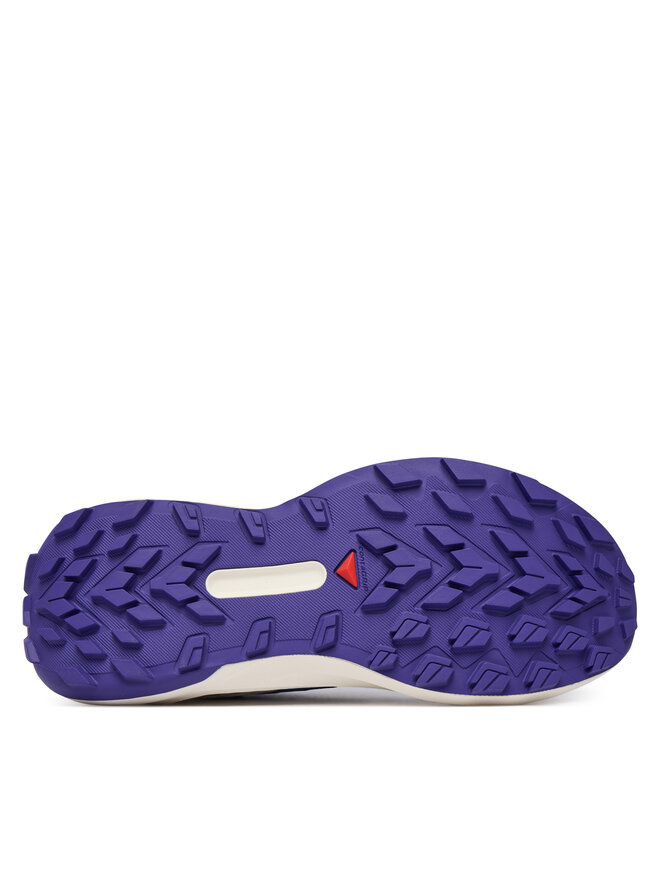 Salomon Взуття для бігу Salomon Genesis L49227100 Голубий