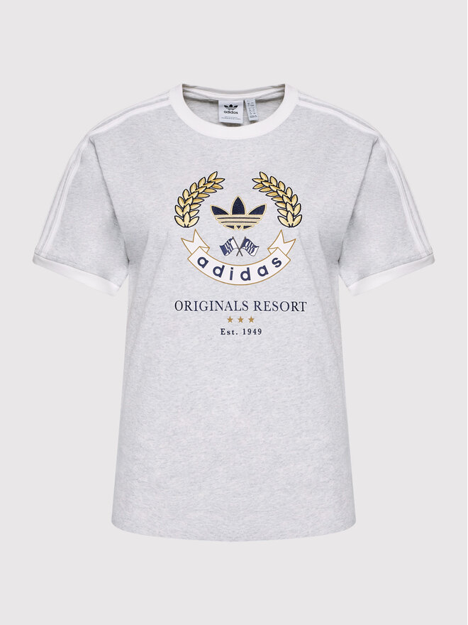 adidas adidas T-Shirt Graphic HL6554 Grau Loose Fit