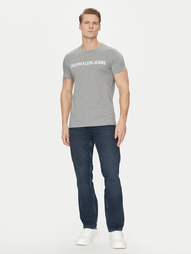 Calvin Klein Jeans Calvin Klein Jeans Футболка Core Institutional Logo J30J307855 Сірий Regular Fit