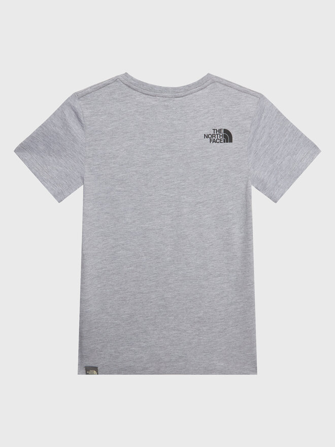 The North Face The North Face Marškinėliai Easy NF0A82GH Pilka Regular Fit