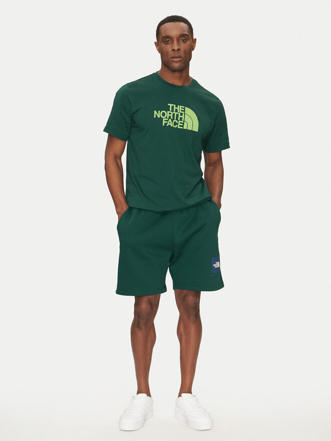 The North Face The North Face Marškinėliai Easy NF0A8A6C Žalia Regular Fit