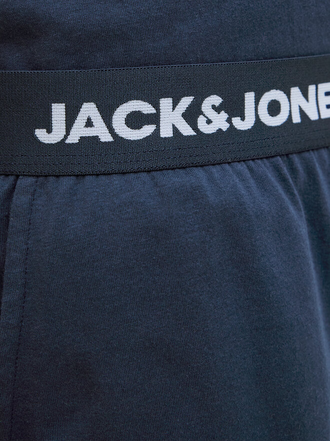 Jack&Jones Jack&Jones Pyjama Everest 12273635 Dunkelblau Standard Fit