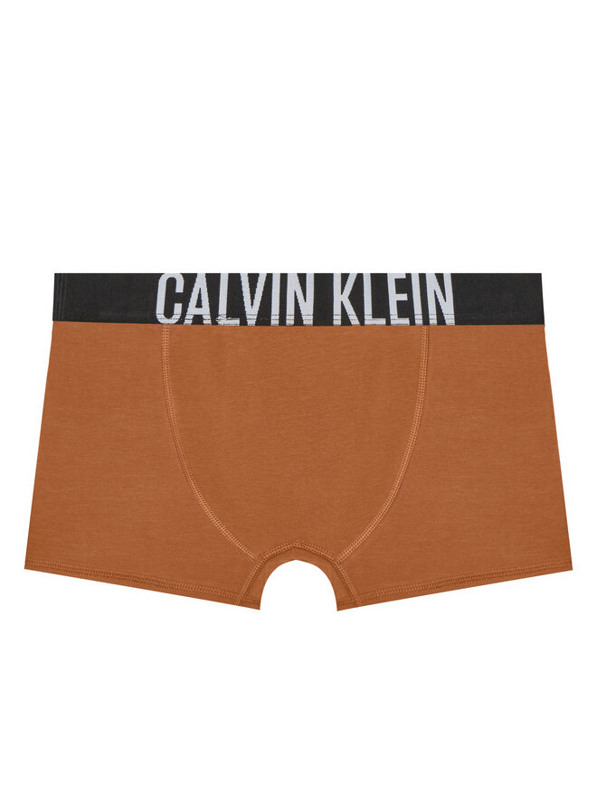Calvin Klein Underwear Calvin Klein Underwear 2er-Set Boxershorts B70B700509 Bunt