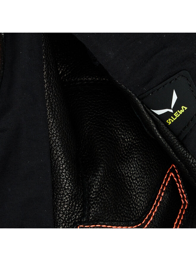 Salewa Лижні рукавиці Salewa Ortles Tw W Gloves 028529 Чорний