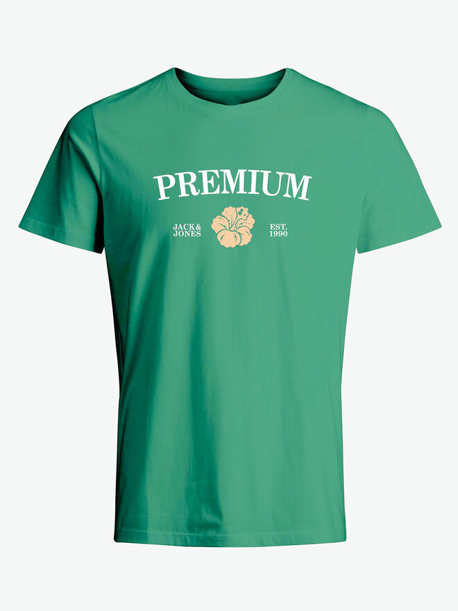 Jack&Jones Jack&Jones Camiseta Jprblaalfie 12259673 Verde Regular Fit