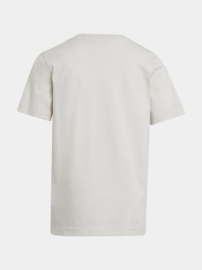 Calvin Klein Jeans Calvin Klein Jeans Футболка IU0IU00599 Сірий Regular Fit