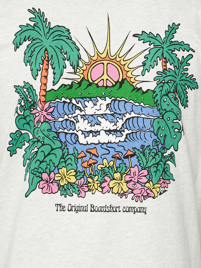 Quiksilver Quiksilver Marškinėliai Island Sunrise Moe AQYZT09543 Pilka Regular Fit