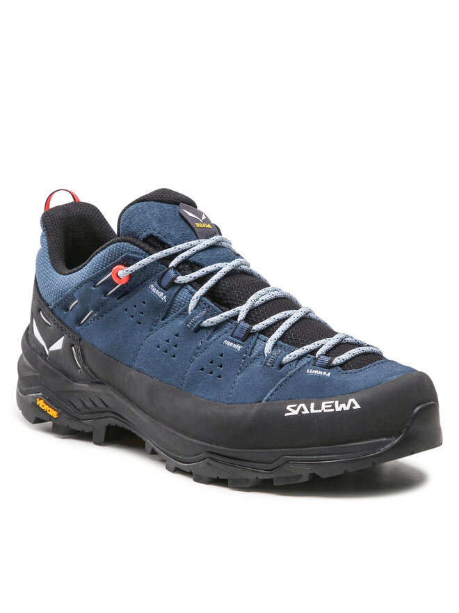 Salewa alp cheap