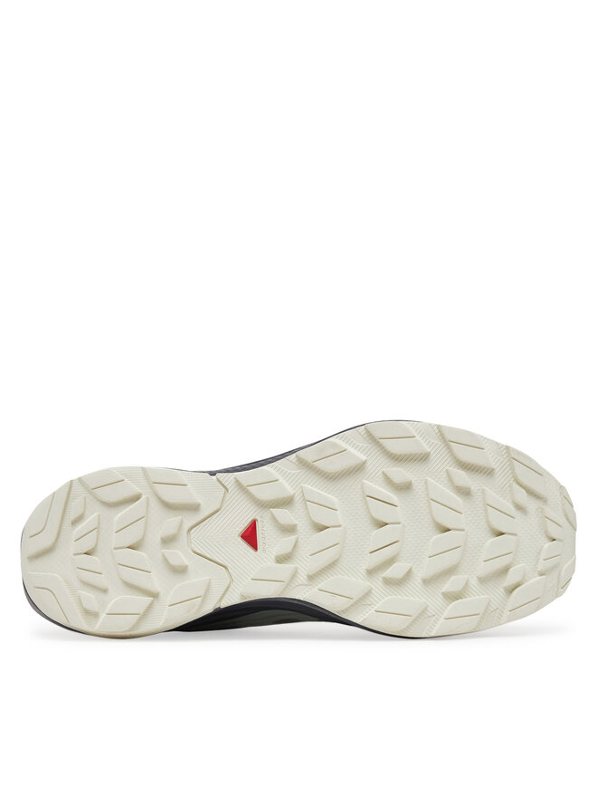 Salomon Trekkingi Salomon Elixir Activ Gore-Tex L47757800 Szary