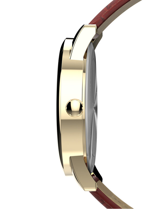 Timex Laikrodis Timex Easy Reader TW2W95500 Auksinė