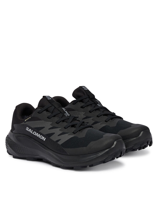 Salomon Laufschuhe Salomon Alphaglide Gtx W L49214400 Dunkelblau