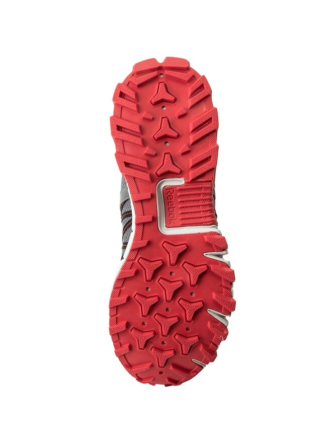 Laufschuhe Reebok Trailgrip Rs 5.0 Gtx GORE TEX CN0831 Grau eschuhe