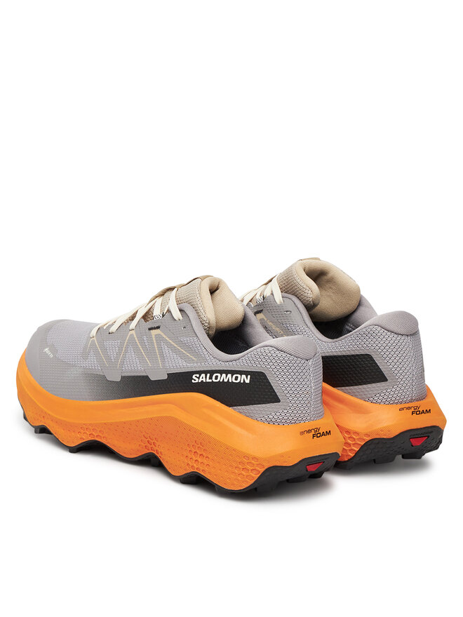Salomon Běžecké boty Salomon Ultra Flow 2 Gore-Tex L47884200 Šedá