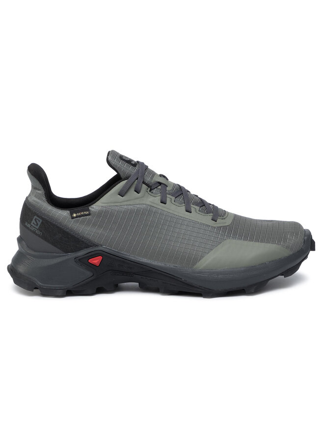 Salomon Laufschuhe Salomon Alphacross Gtx GORE-TEX 408055 31 V0 Grün